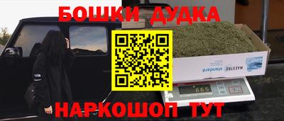 молекула духа Кингисепп