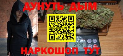 молекула духа Кингисепп