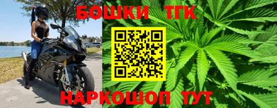молекула духа Кингисепп
