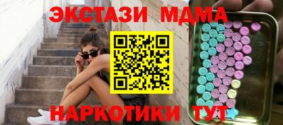 молекула духа Кингисепп