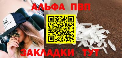 молекула духа Кингисепп