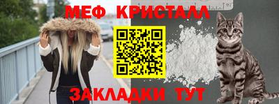 молекула духа Кингисепп