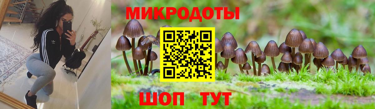 Псилоцибиновые грибы мухоморы  Вход с VPN  купить  сайты  Кузнецк 