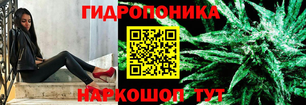 Марихуана OG Kush Кузнецк